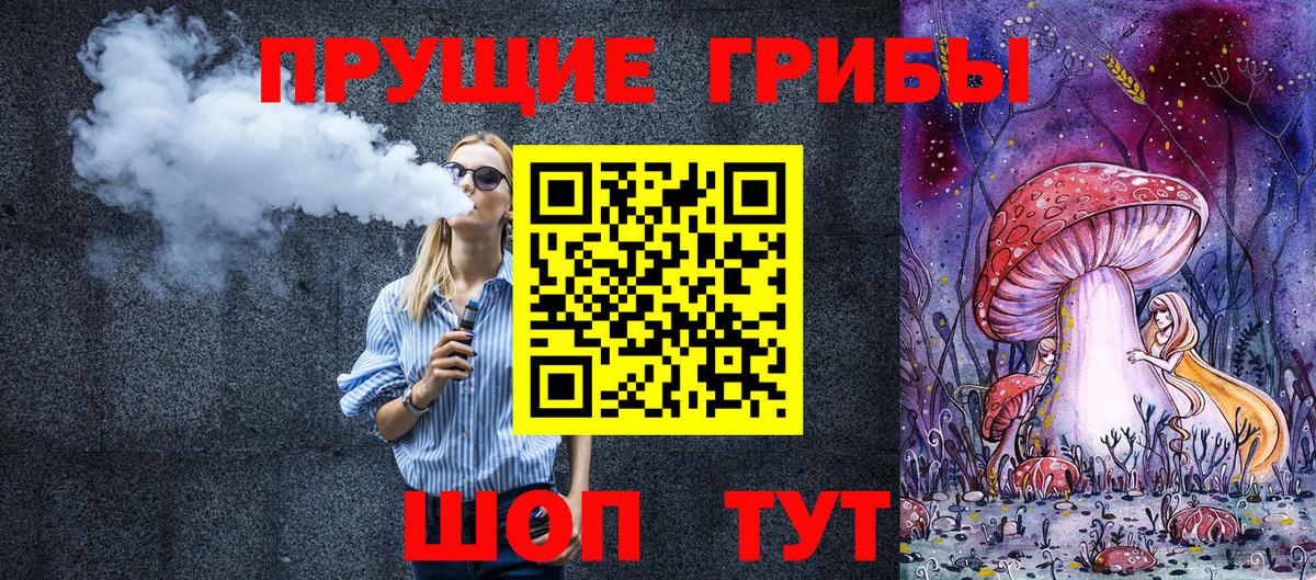 Кызыл  закладки  Вход с VPN  Галлюциногенные грибы GOLDEN TEACHER 