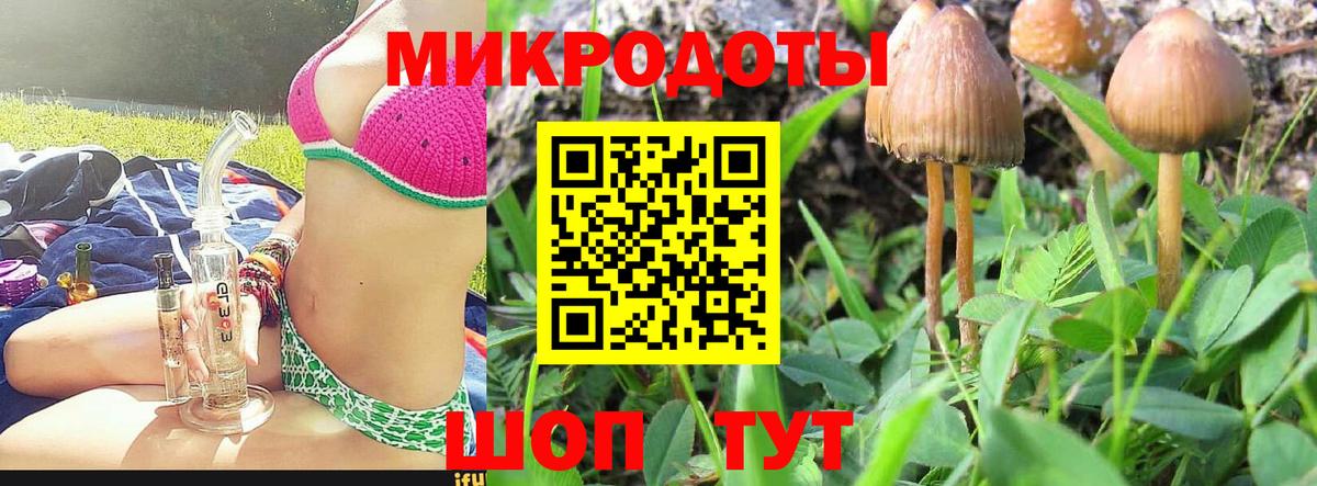 Псилоцибиновые грибы прущие грибы Кызыл